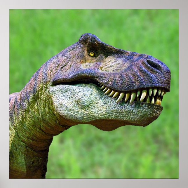 Poster de Tyrannosaurus Rex (Devant)