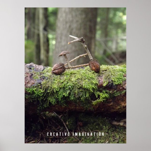 Poster de vélos (Devant)