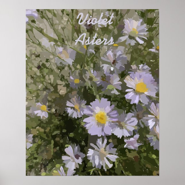 Poster de Violet Asters (Devant)