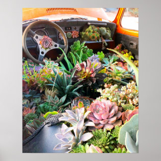 Poster de voiture Succulent Imprimer