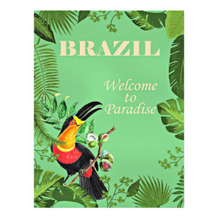Poster de voyage du Brésil, Toucan,