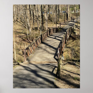 Poster de Walking Bridge