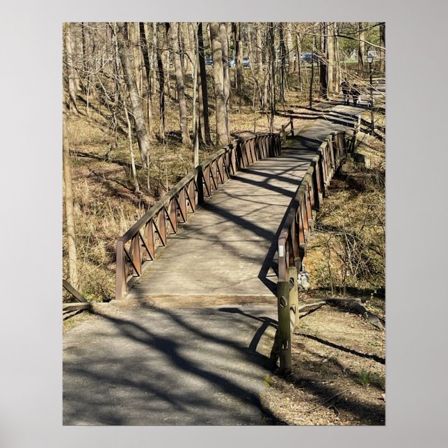 Poster de Walking Bridge (Devant)
