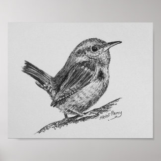 Poster de Wren Bird Art