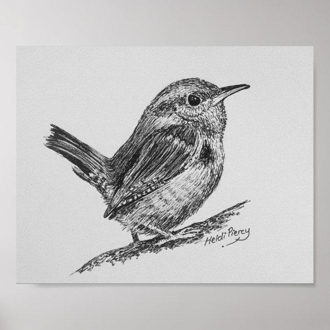 Poster de Wren Bird Art (Devant)