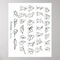 Poster de Yoga Bunny