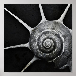 Poster de Yoka Shell