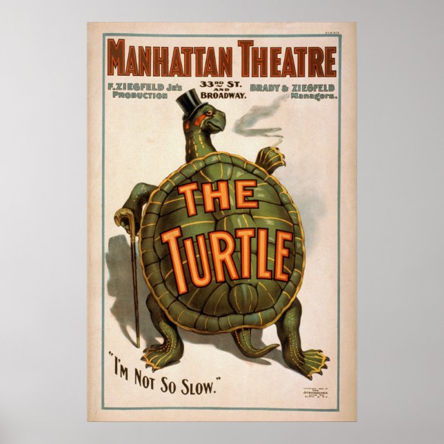 Poster de ZIEGFELD'S The TURTLE Play VAUDEVILLE (Devant)