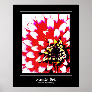 Poster de Zinnia Pop