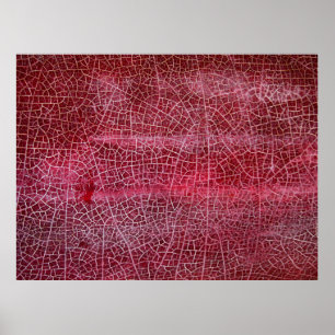 Poster Death valley national park