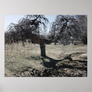 Poster Debout dans le vent