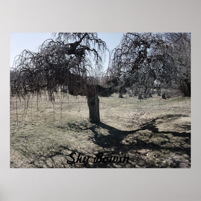 Poster Debout dans le vent (Devant)