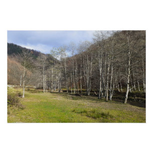 Poster Début d'automne au bord de la rivière - Wild Natur