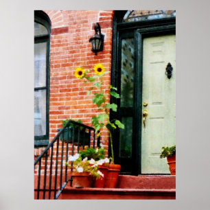 Poster DÉBUT DE MOINS DE 20 $ - Tournesols sur le plateau