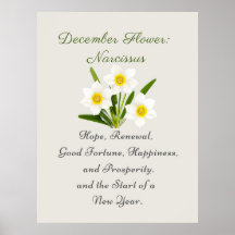 Décembre Mois de naissance Fleur Narcisse Élégant