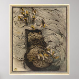 Poster DÉCHETS COMMUNS - Illustration du livre d'insectes