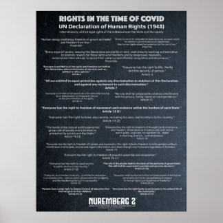 Poster Déclaration Des Nations Unies Sur Les Droits De L'