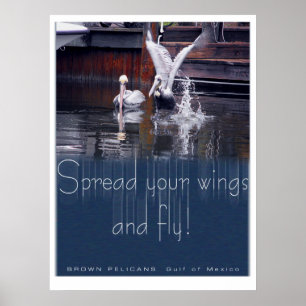 Poster Décollage du pélican