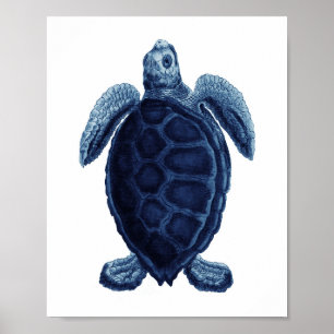Poster Décor de la salle de bains Marine Blue Sea Turtle 