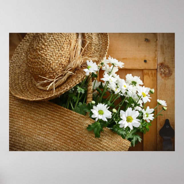 Poster Décor intérieur et affaires - Série Casquette pail (Devant)