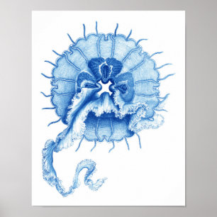 Poster Décor nautique bleu de mur de l'impression no.4