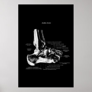 Poster Décor Orthopédique Anatomie Conjointe
