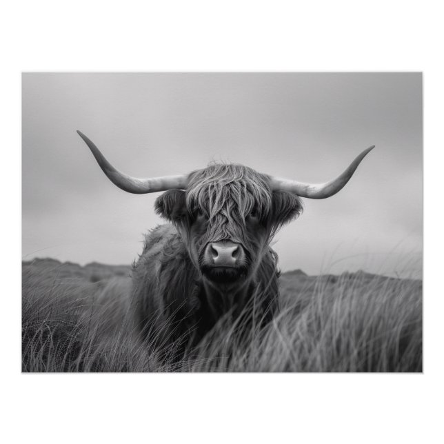 Poster Découpage noir et blanc de la vache Highland (Devant)