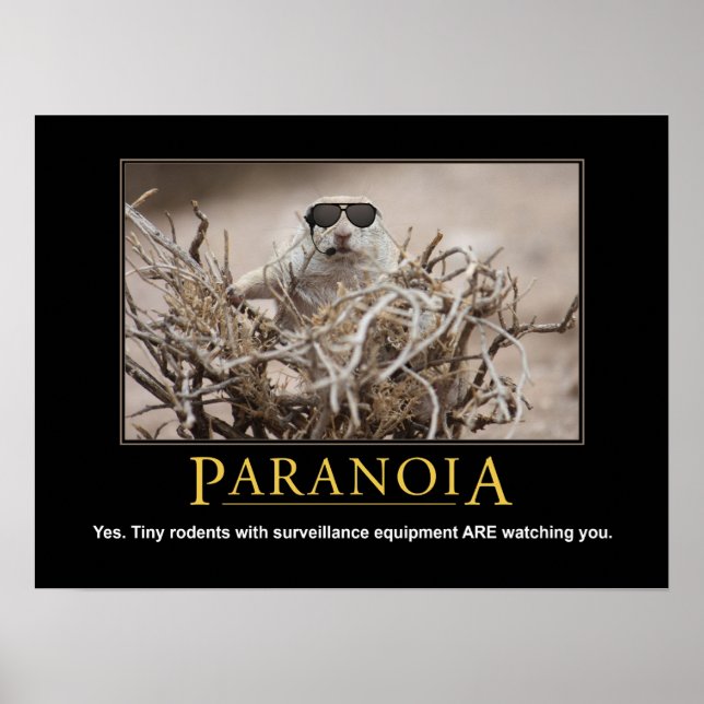 Poster d'écureuil démotivationnel : Paranoïa (Devant)