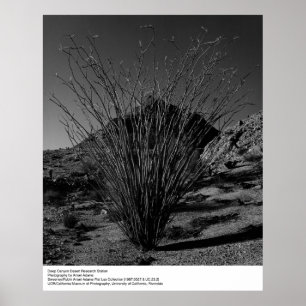 Poster Deep Canyon Desert Research Station par Ansel Adam