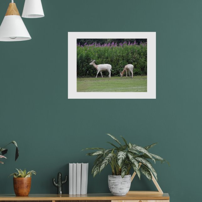Poster Deer  (Salon 1)