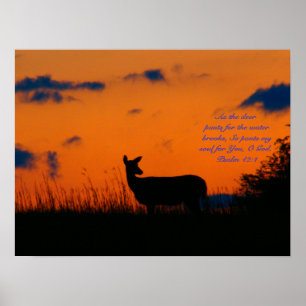 Poster Deer Sunset