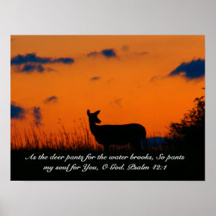 Poster Deer Sunset