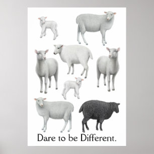 Poster Défi à être copie différente de moutons noirs