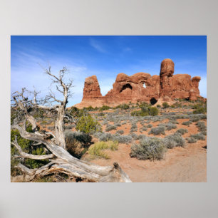 Poster Défilé d'éléphants à Arches National Park