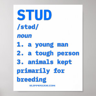 Poster Définition de Slipperyjoes Stud Animaux Dictionnai