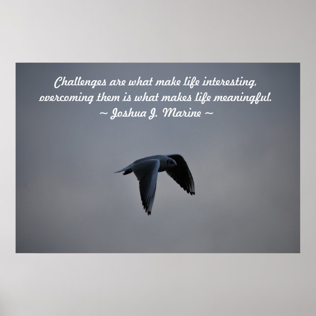 Poster Défis (Devant)