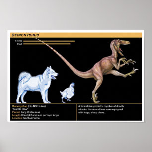 Poster Deinonychus - Biologie Dinosaure Jurassique