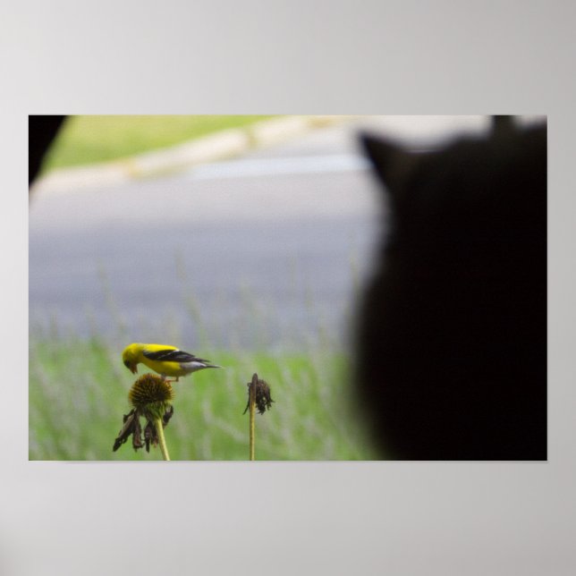 Poster Déjeuner potentiel - Chat et Oiseau (Devant)