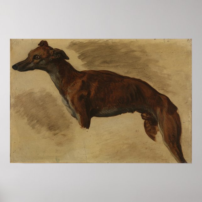 Poster Delacroix - Levrier 1859 (Devant)