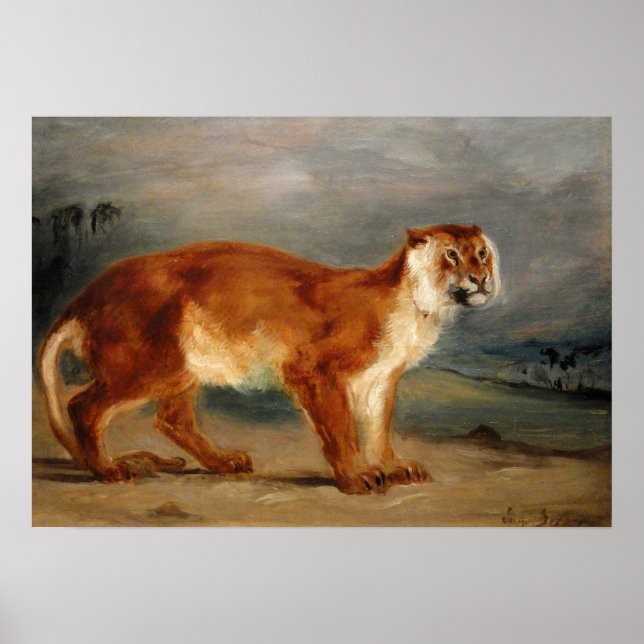 Poster Delacroix - Lioness 1832 (Devant)