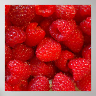 Poster Délicieux mignon photo de framboise rose foncé
