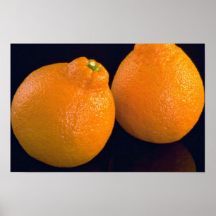 Poster Délicieux Tangerines
