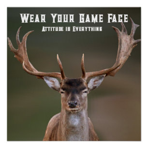 Poster d'Elk