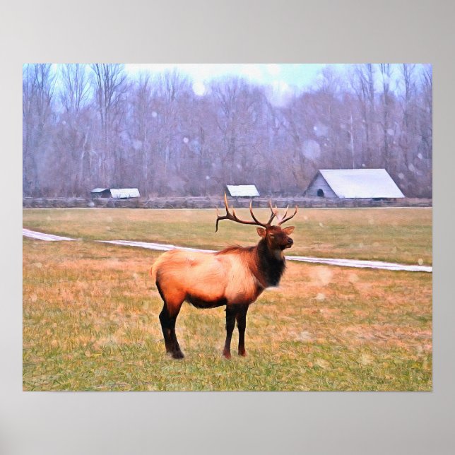 Poster d'Elk in the Great Smoky Mountains (Devant)