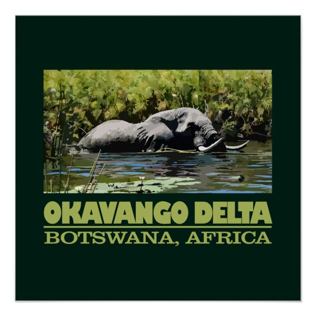 Poster Delta d'Okavango (Devant)