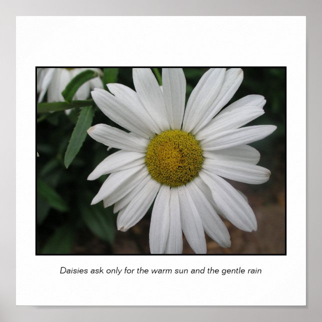 Poster Demandes simples (Devant)