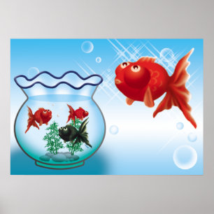 Poster Demekin -Telescope Goldfish-