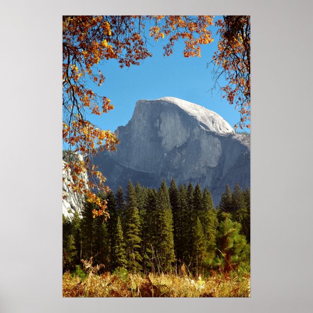 Poster Demi-dôme en automne - Parc national de Yosemite (Devant)
