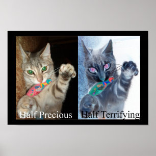Poster Demi et demi