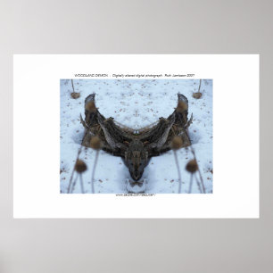 POSTER DÉMON DE RÉGION BOISÉE